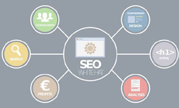 东莞网站SEO 优化  推广