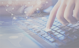 东莞企业宣传网站建设